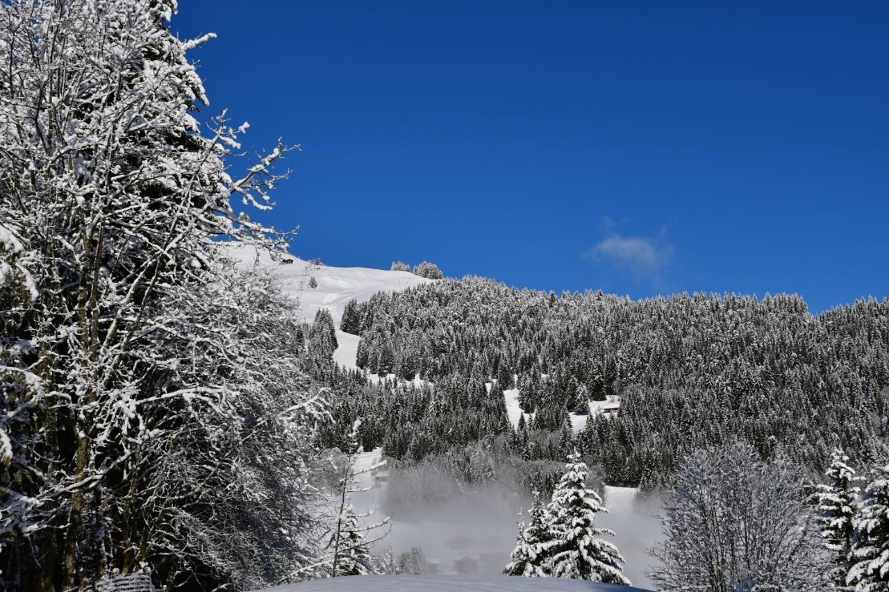 Chalet Orlando Les Gets Buitenkant foto