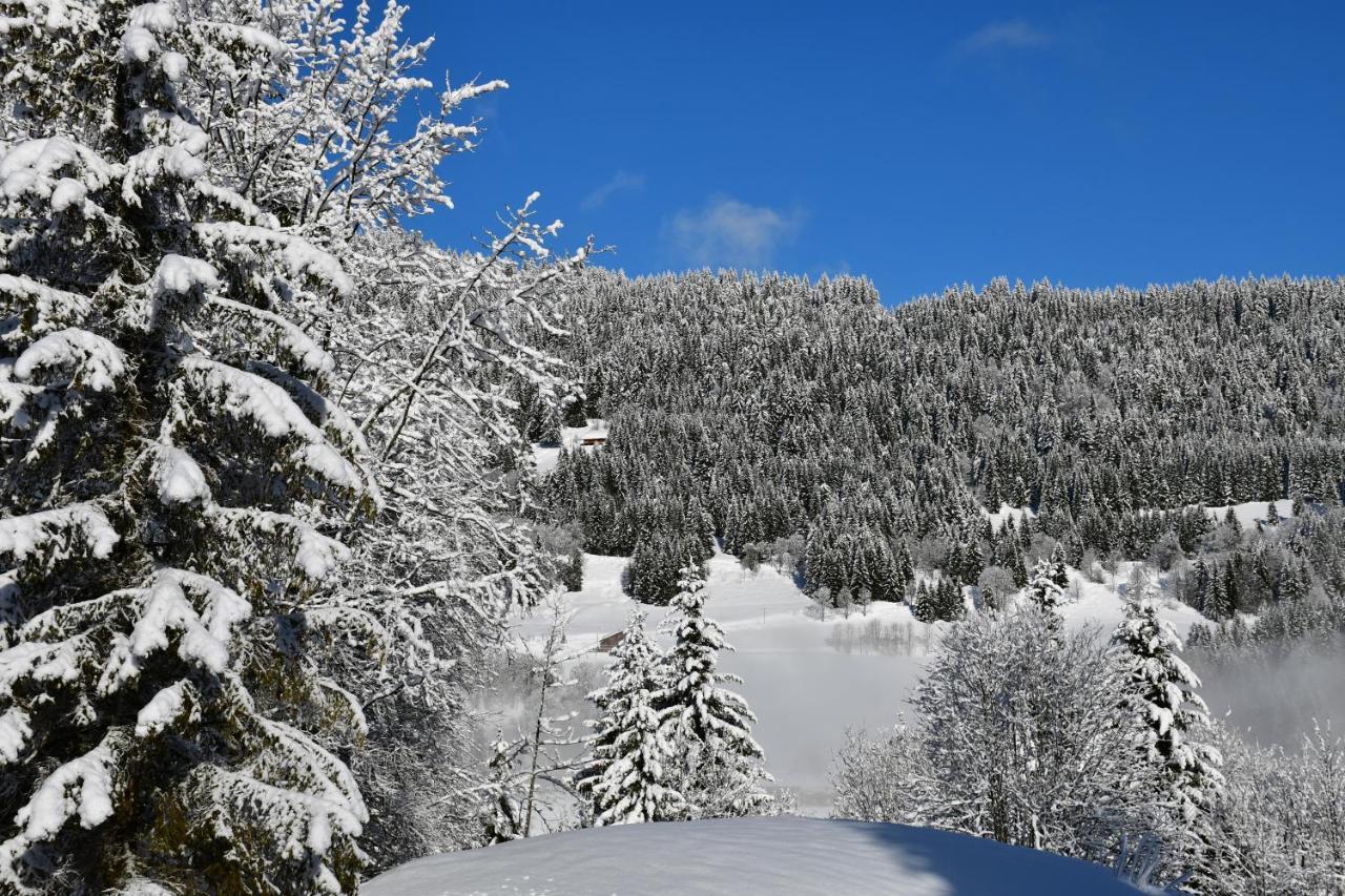 Chalet Orlando Les Gets Buitenkant foto